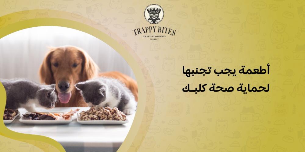 أطعمة يجب تجنبها لحماية صحة كلبك