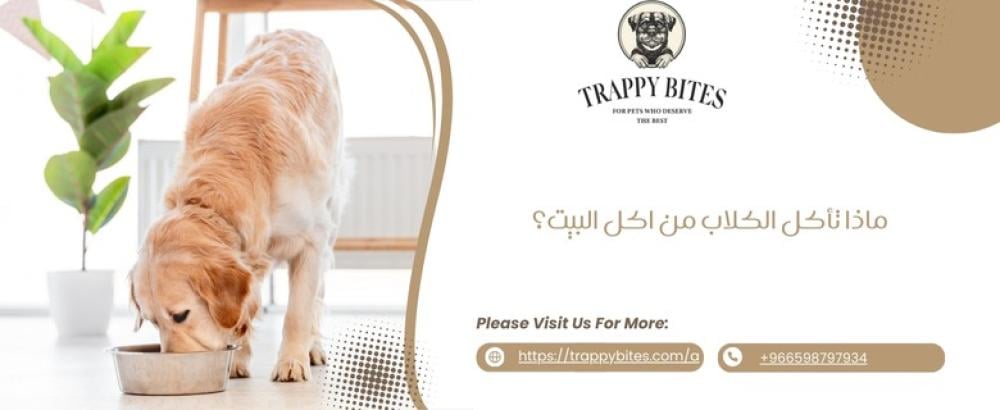 ماذا تأكل الكلاب من اكل البيت؟