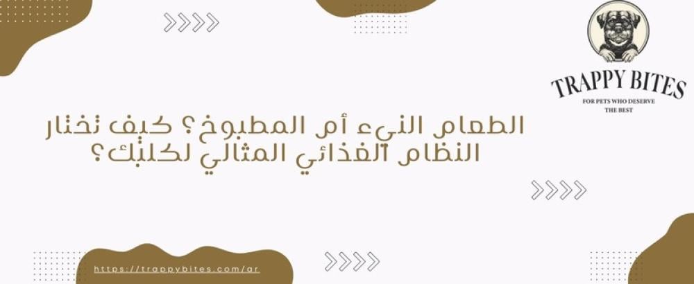 الطعام النيء أم المطبوخ بلطف ؟ كيف تختار النظام الغذائي المثالي لأليفي؟