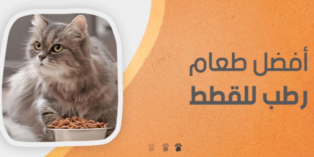 اكل قطط رطب