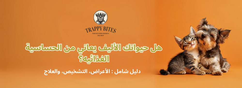 الحساسية الغذائية للقطط والكلاب: الأعراض، التشخيص، والعلاج