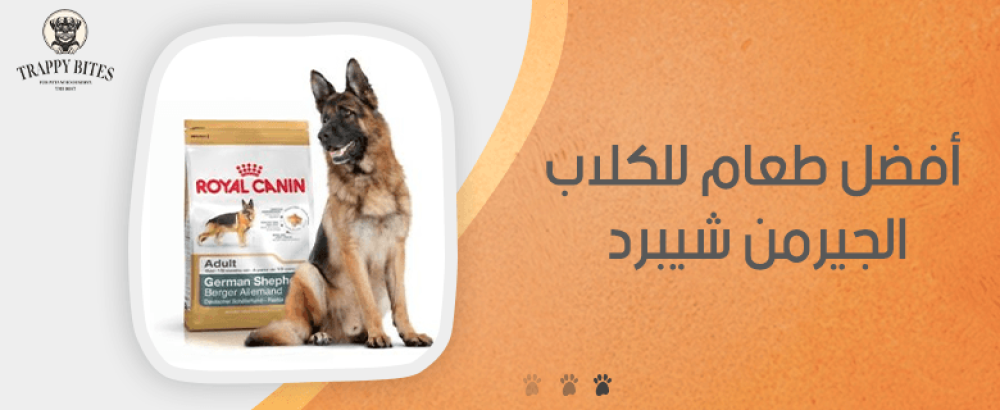 افضل طعام للكلاب الصغيرة