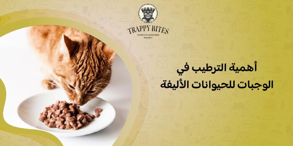 أهمية الترطيب في الوجبات للحيوانات الأليفة