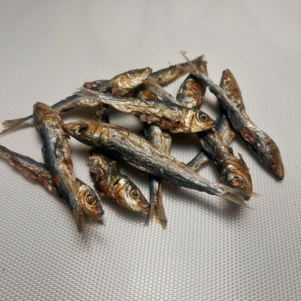 سمك سردين مجفف
