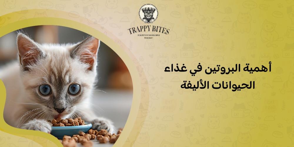 أهمية البروتين في غذاء الحيوانات الأليفة