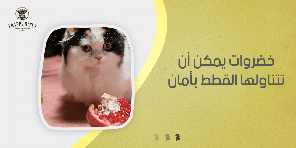 Vegetables that cats can safely eat