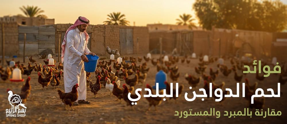 فوائد لحم الدواجن البلدي مقارنة بالمبرد والمستورد