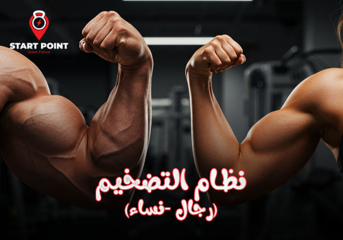 نظام التضخيم
