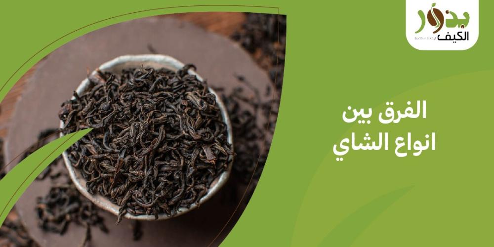 الفرق بين انواع الشاي