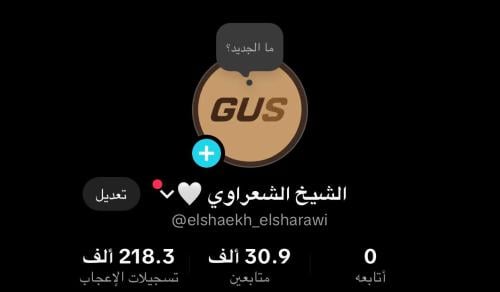 حساب تيك توك عربي 30 الف متابع