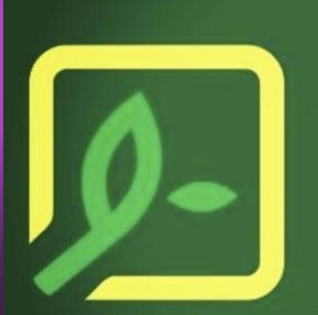store avatar