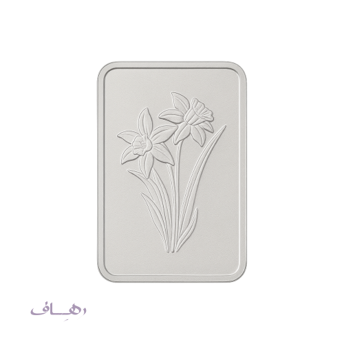 سبيكة 20 جرام