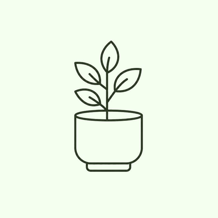 أحواض أشجار