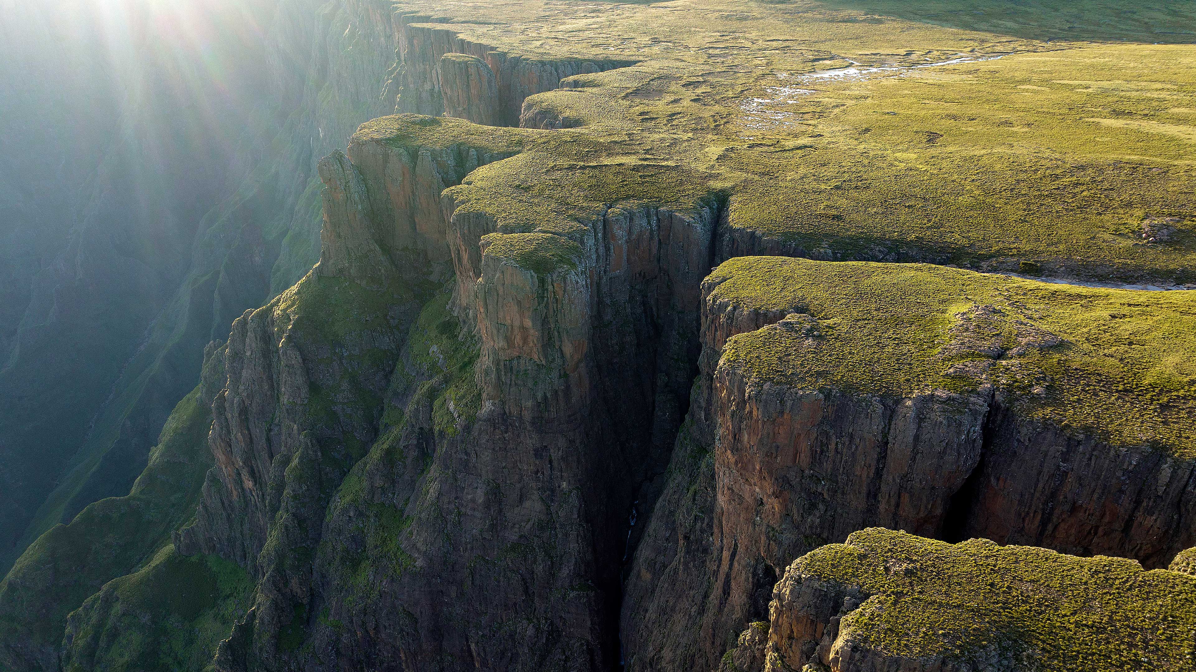 سيليماكس - Celimax