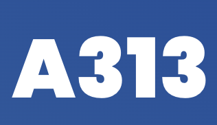 A313