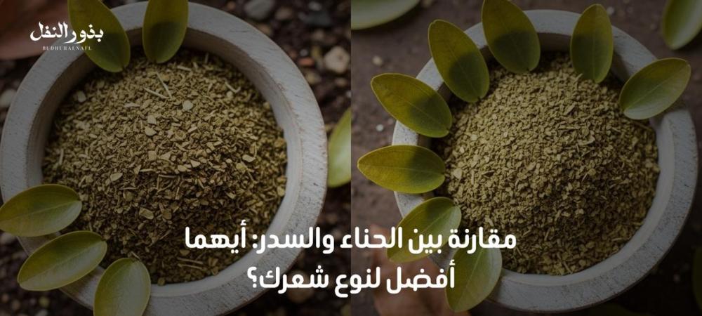 مقارنة بين الحناء والسدر: أيهما أفضل لنوع شعرك؟