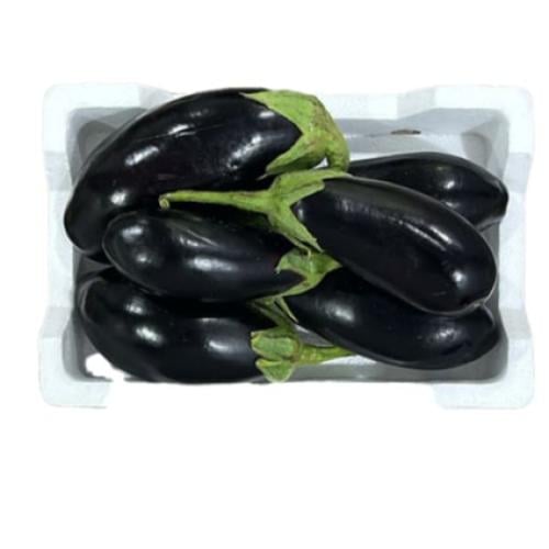 فلين بادنجان صغير