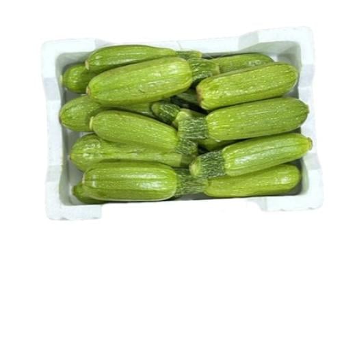 فلين كوسة صغير