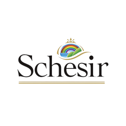 Schesir