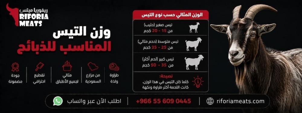وزن التيس المناسب للذبائح