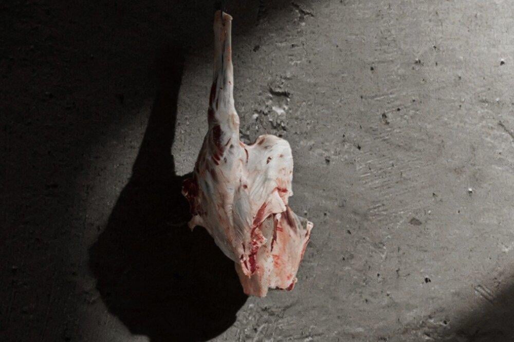 أفضل لحم حاشى طازج للشراء أونلاين — المواصفات والأسعار والطلب