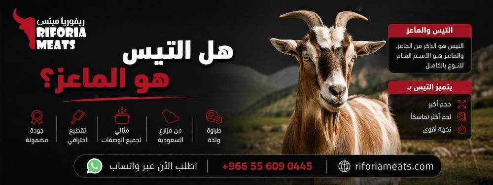 هل التيس هو الماعز