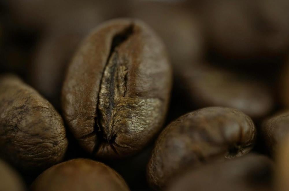 جودة البن وتأثيرها على طعم القهوة العربية