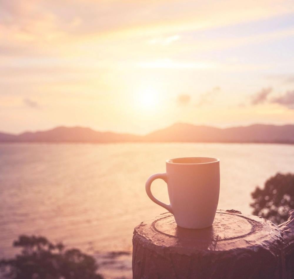 قهوة الصباح وقهوة المساء… تجربة مختلفة