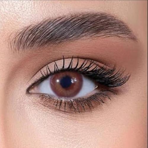 دوللي عدسات لاصقة شهرية عسل طبيعي