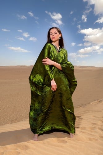 Ladies shinny dress soft velvet