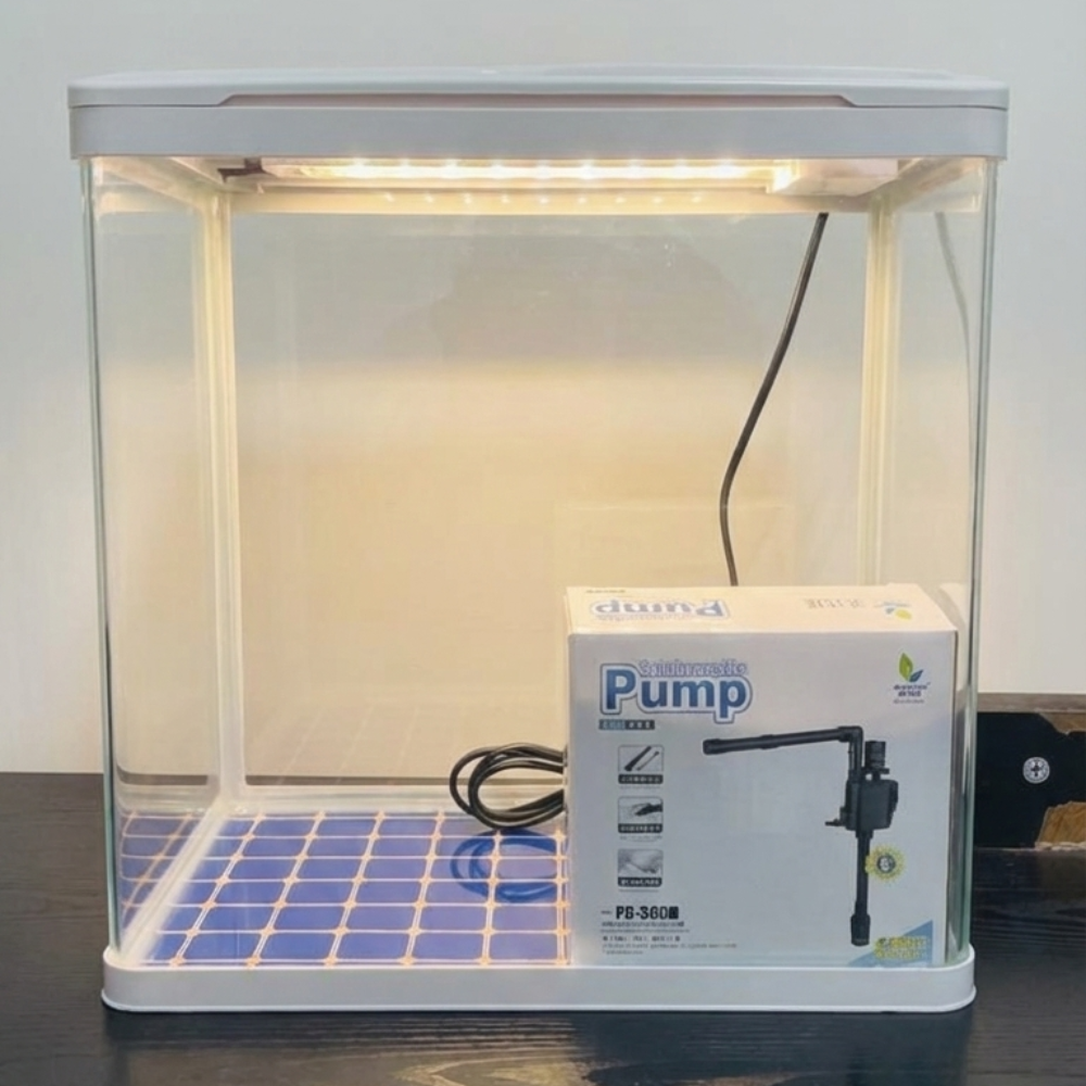 حوض سمك صغير-بيج ديل