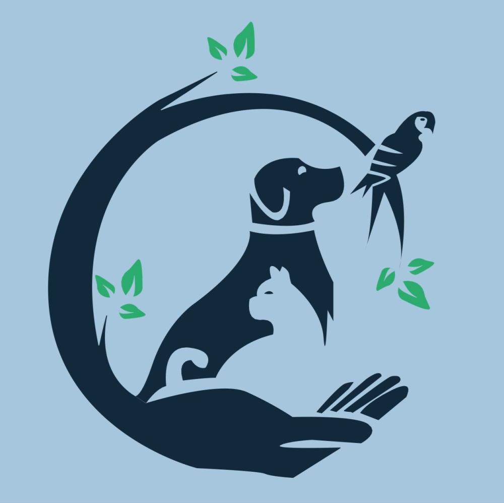 حلاقة شعر الكلاب بفترة الصيف