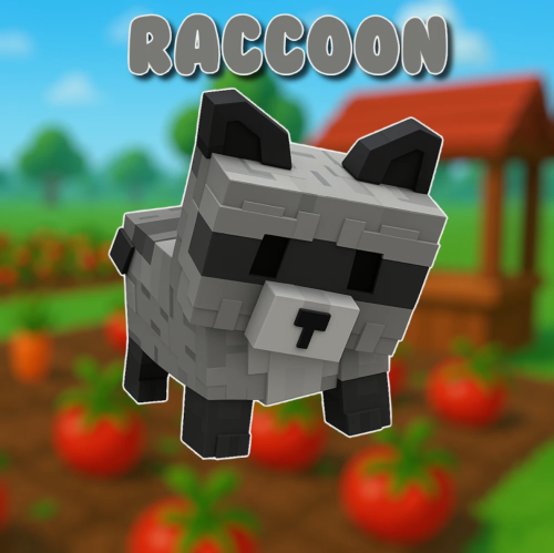 راكون raccoon