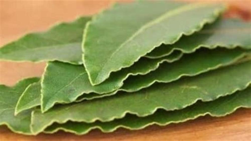 حناء سدال للشعر: سر الجمال الطبيعي