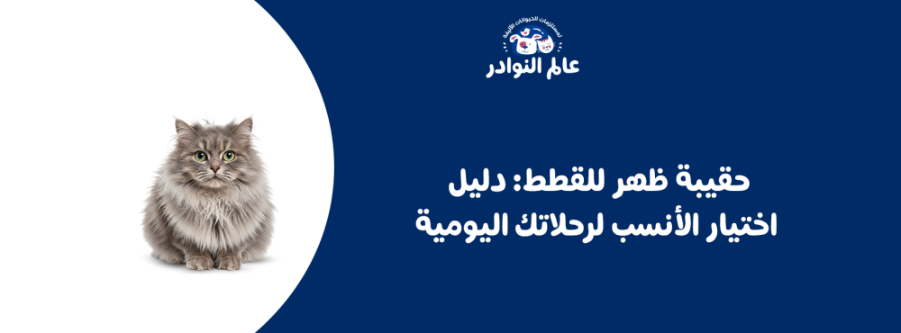 حقيبة ظهر للقطط: دليل اختيار الأنسب لرحلاتك اليومية