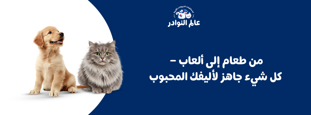 من طعام إلى ألعاب – كل شيء جاهز لأليفك المحبوب