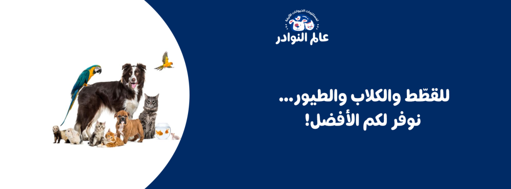 للقطّط والكلاب والطيور… نوفر لكم الأفضل!