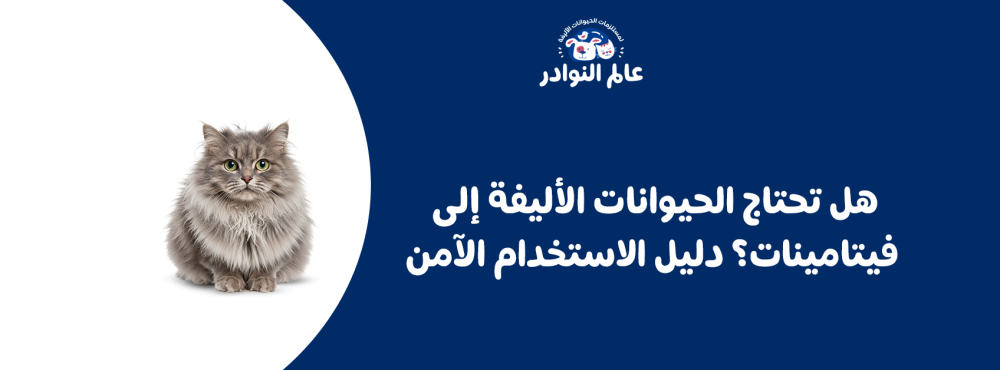هل تحتاج الحيوانات الأليفة إلى فيتامينات؟ دليل الاستخدام الآمن