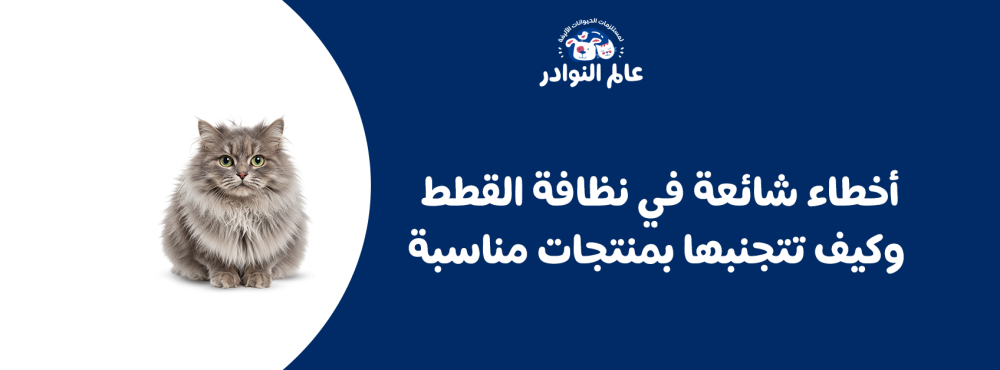 أخطاء شائعة في نظافة القطط وكيف تتجنبها بمنتجات مناسبة