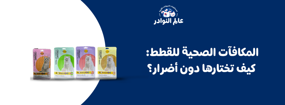 المكافآت الصحية للقطط: كيف تختارها دون أضرار؟