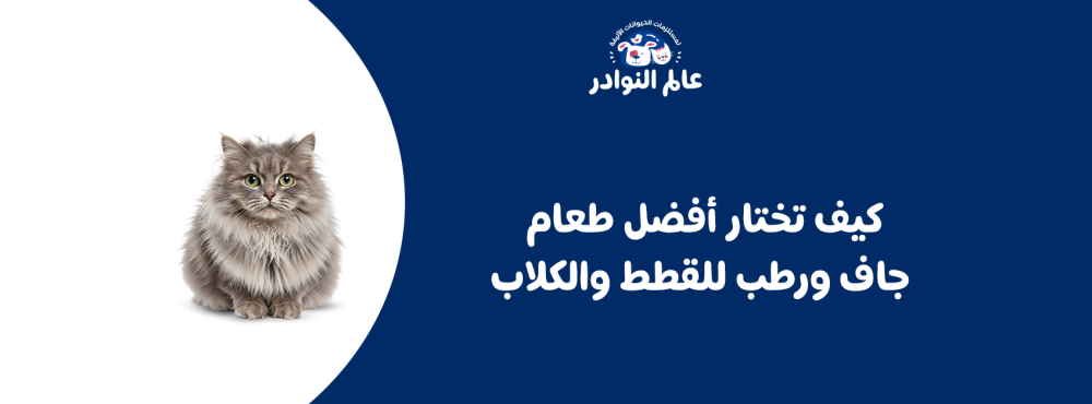 كيف تختار أفضل طعام جاف ورطب للقطط والكلاب