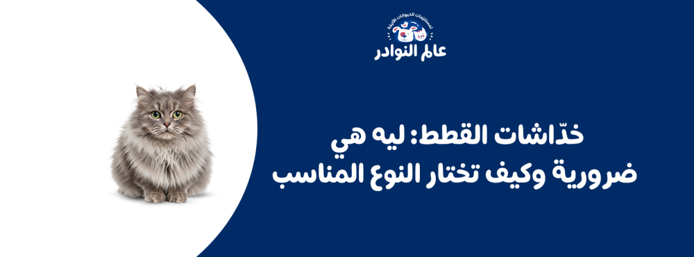 خدّاشات القطط: ليه هي ضرورية وكيف تختار النوع المناسب