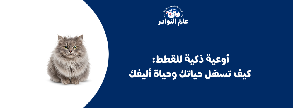 أوعية ذكية للقطط: كيف تسهّل حياتك وحياة أليفك