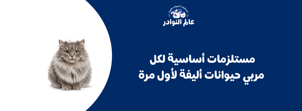 مستلزمات أساسية لكل مربي حيوانات أليفة لأول مرة