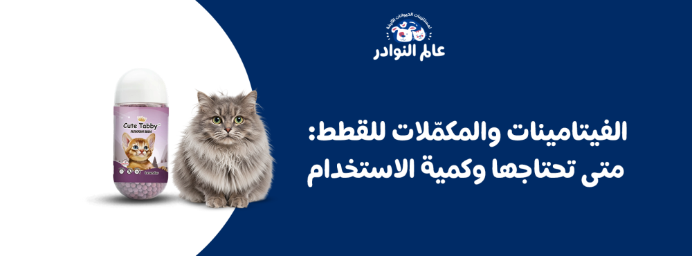 الفيتامينات والمكمّلات للقطط: متى تحتاجها وكمية الاستخدام