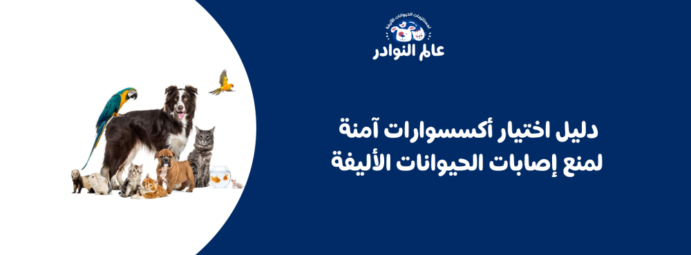 دليل اختيار أكسسوارات آمنة لمنع إصابات الحيوانات الأليفة