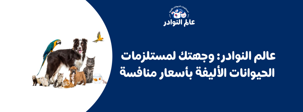 عالم النوادر: وجهتك لمستلزمات الحيوانات الأليفة بأسعار منافسة