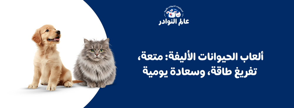 ألعاب الحيوانات الأليفة: متعة، تفريغ طاقة، وسعادة يومية