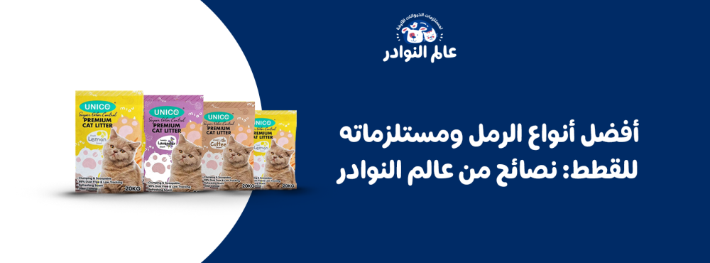 أفضل أنواع الرمل ومستلزماته للقطط: نصائح من عالم النوادر