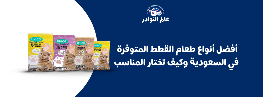 أفضل أنواع طعام القطط المتوفرة في السعودية وكيف تختار المناسب